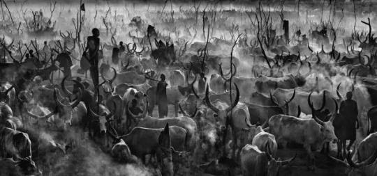 　David Yarrow B。 1966，‘MANKIND’， 2014 成交价格 77，712 USD