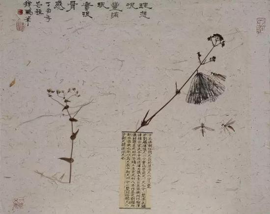 纸本镜心 40×50 CM