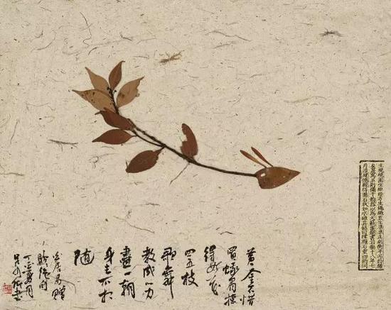 纸本镜心 40×50 CM