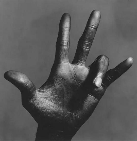 IRVING PENN （1917-2009），The Hand of Miles Davis （C）， New York， 1986  成交价格 208， 334 USD