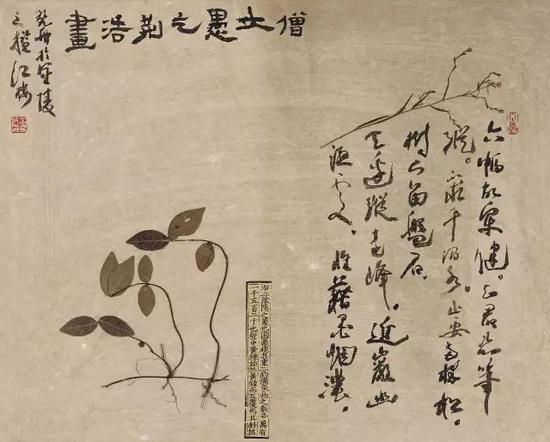 纸本镜心 40×50 CM