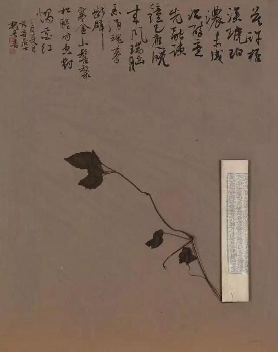 纸本镜心 50×40 CM