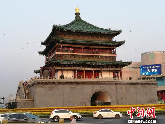 西安600岁明钟楼现“百燕归巢”景象。 张枭 摄 西安600岁明钟楼现“百燕归巢”景象。 张枭 摄