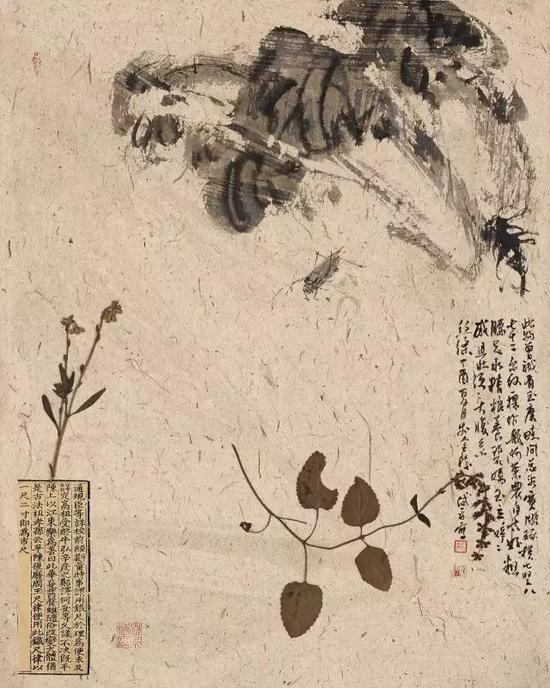 纸本镜心 50×40 CM