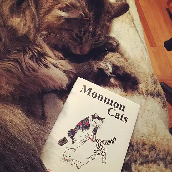 他为此还创立了一个独立的品牌 Monmon Cats，并出版了一本同名书籍。