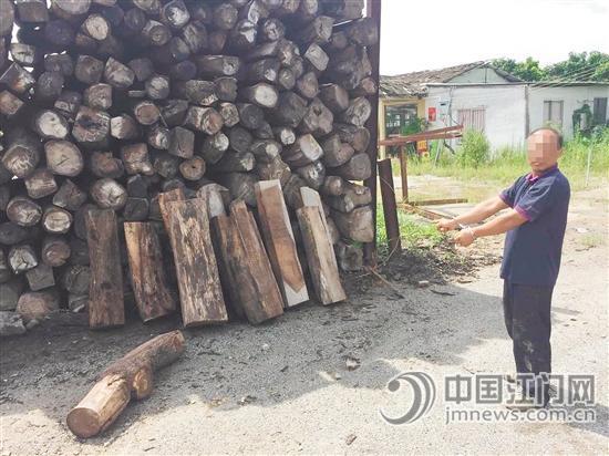 这批被盗的非洲黄花梨原木,全部被追回。