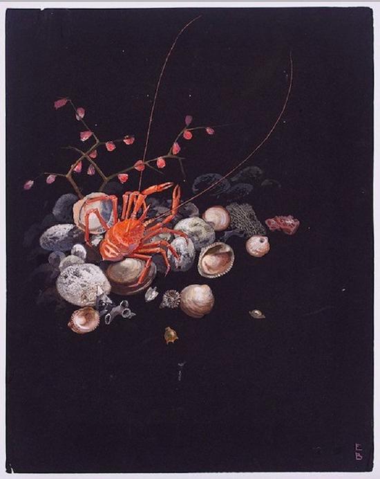 水下1400英寻的滩涂——埃尔斯·鲍斯泰尔曼。（百慕大，1931年）（画展中心提供）