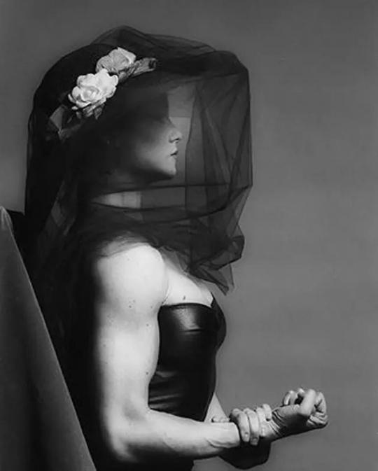 Lisa Lyon,梅普尔索普摄