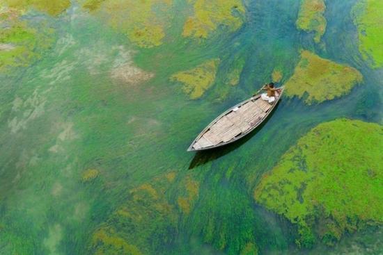 《PICTURESQUE PADDLIN》，孟加拉国巴拉尔河