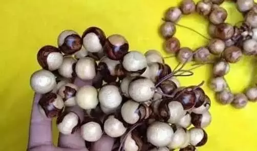 这种带白皮的海南黄花梨手串，看起来缺少视觉美感，与玩友们传统观念中的满纹理的海南黄花梨手串形象是大相径庭的。