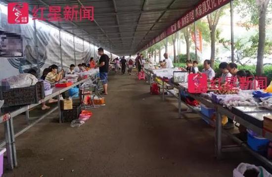 河北娄村镇,一个麻核桃市场,核农们摆摊做生意