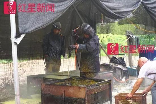 当地,洗核桃的人穿着厚厚的隔离服冲洗核桃