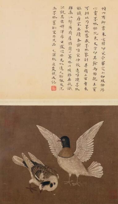 佚名 双鸽图