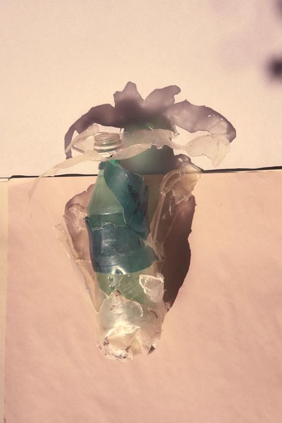 这色调舒服的,远看以为是朵花