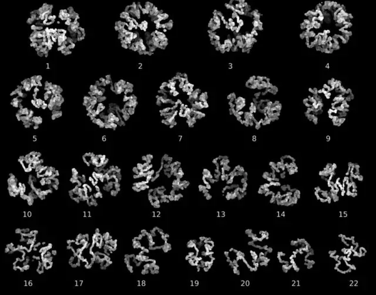 《人类基因学I》（Human Genomics I）,安妮可·莱斯内（Annick Lesne）、朱利安·莫兹克纳西（Julien Mozziconacci）