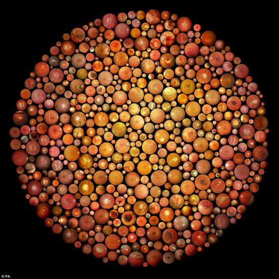 这幅精妙的艺术品由约600个视网膜图片组成，像是日本石原忍博士发明的彩色视力测试图。乔纳森·布雷特摄，银奖作品。
