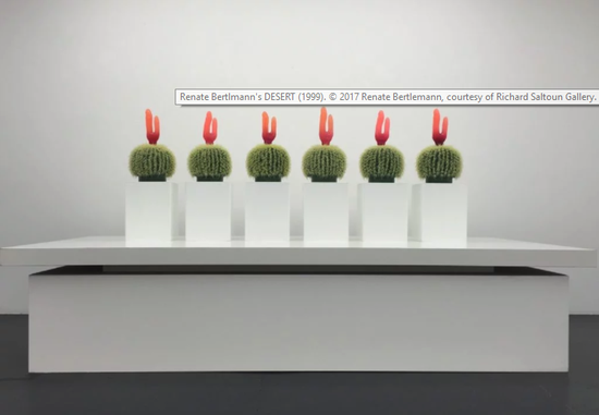 Renate Bertlmann, 《沙漠》,1999。 图片:Richard Saltoun画廊