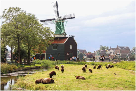 荷兰风车， f/5.6，1/250秒，ISO100