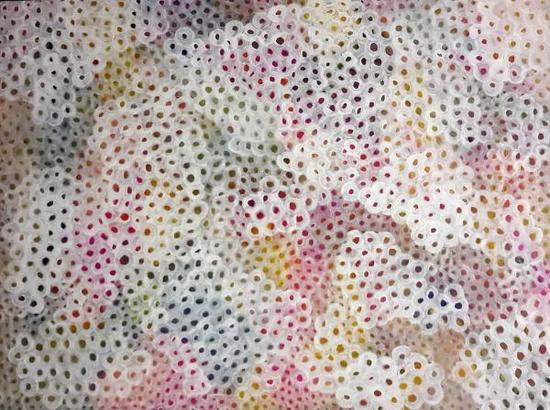 珍妮·埃文斯：野花 (2017)，藏于悉尼大学艺术学院。