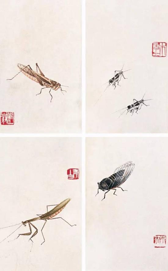 草虫册页