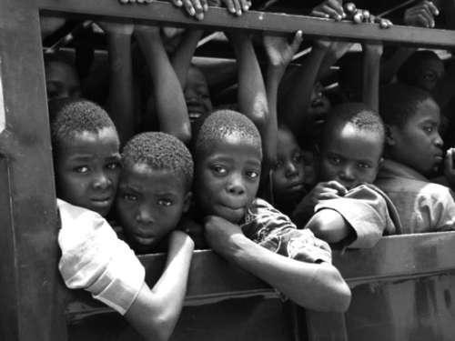 利比亚奴隶拍卖让世界震惊 5300元就能买到两