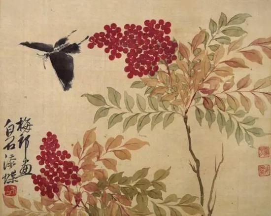 梅兰芳作花卉;齐白石添蝶