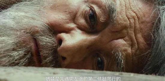 电影剧照:也会为了观察蚂蚁搬家,而专门对着地面凝视一整个下午。
