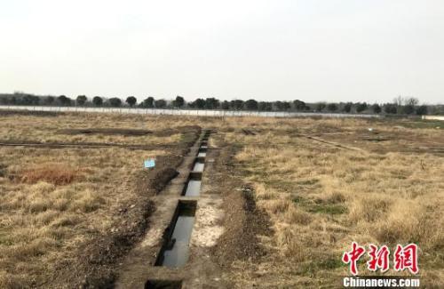 资料图:扬州桑树脚地块考古工地现场。 崔佳明 摄