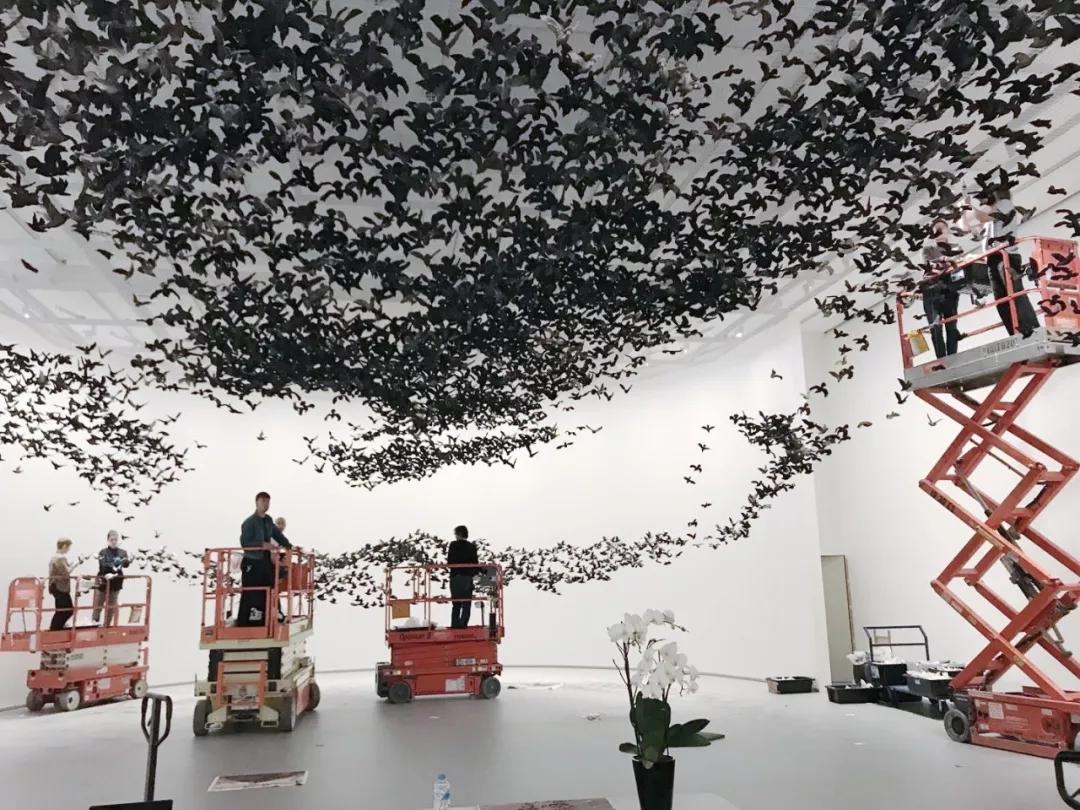 《鸟云》艰辛布展现场，2019，维多利亚州国立美术馆　摄影：蔡国强