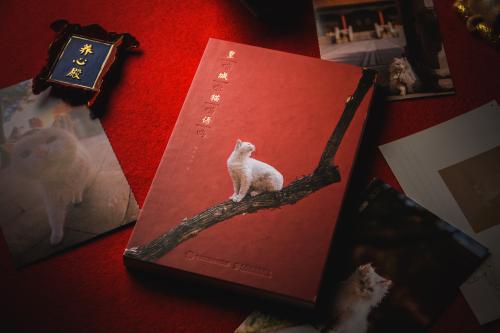 今年，“喵呜不停”的第一本手账《皇城猫语》也出版了。出版方供图