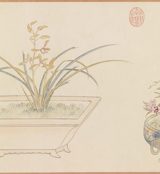 清 汪承霈 画万年花甲 形式:轴 尺寸:37.5 x 549.8 公分(局部)