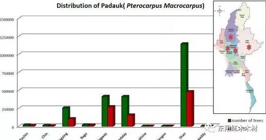 （大果紫檀在缅甸的资源分布图。来源：木材地理）