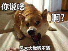 ͼƬ´ڴ򿪲鿴