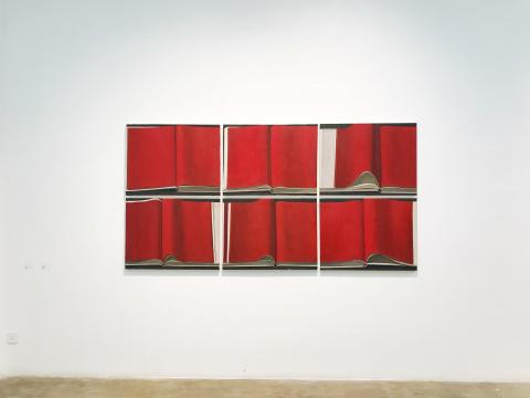 《红书》 80cm×60cm×6 布面油画 2017