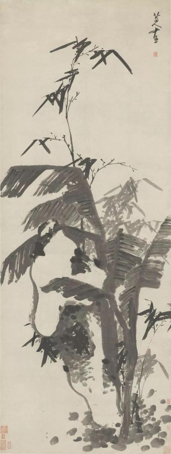 清 朱耷《芭蕉竹石图轴》纸本墨笔 纵221厘米 橫83厘米 故宫博物院藏