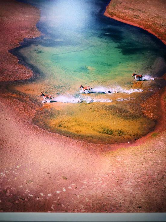 中西方建筑自然观差异 中国园林艺术核心特点