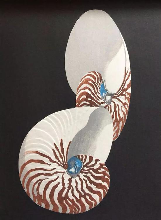 图片点击可在新窗口打开查看