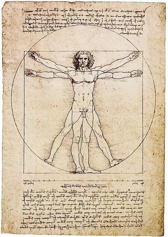 达·芬奇 Da Vinci - The Vitruvian Man 维特鲁威人