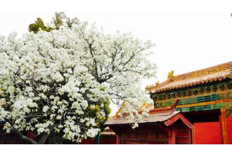 高楼大厦、车水马龙是北京,