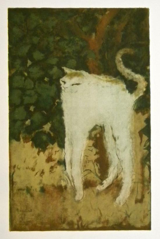 《白猫》（Le chat blanc ），皮尔-波纳尔（Pierre Bonnard） （1867-1947）