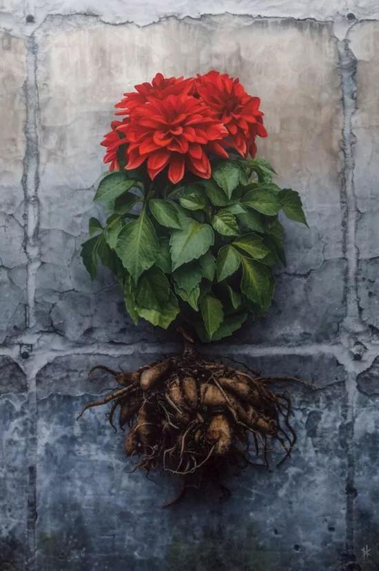 他所画的每一幅画都可以称的上是一幅完美的摄影作品,