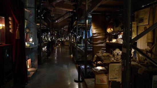 图4&5:展品颠覆惯常艺术展览形态