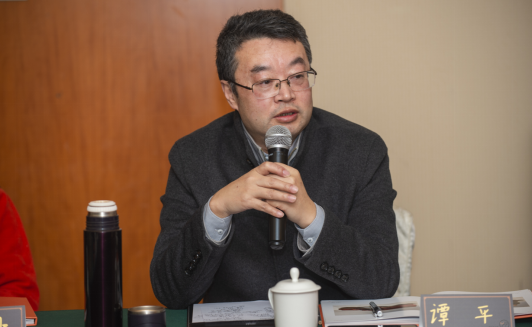 中国文物交流中心主任谭平先生发言