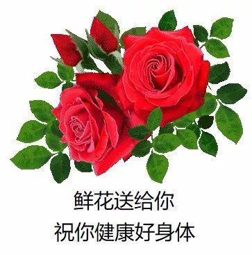 ͼƬ´ڴ򿪲鿴