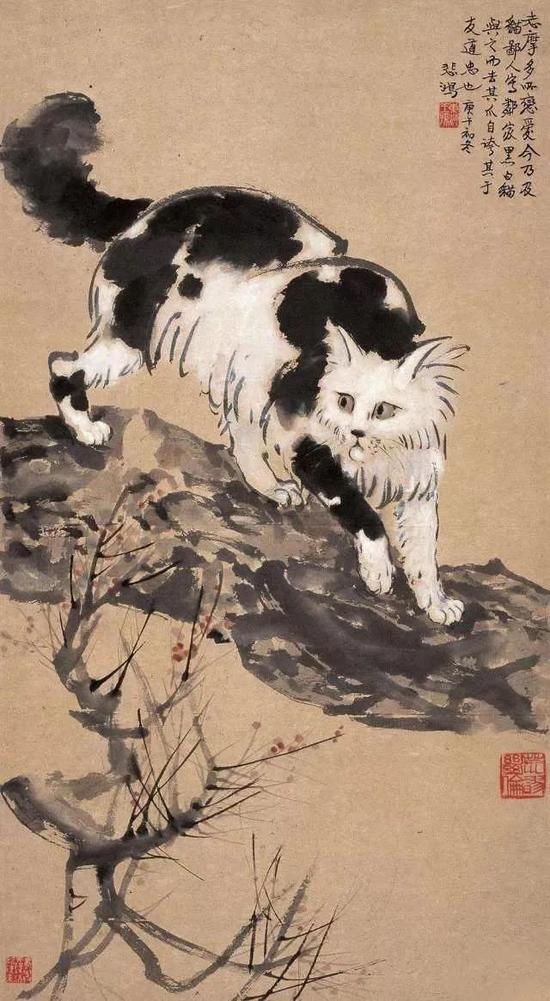 徐悲鸿  猫  84×46cm   纸本立轴  1931年