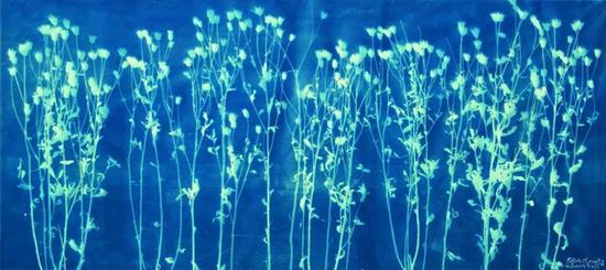 张大力《荒野之灵-2》Soul of the Wild Grass-2 画布蓝晒Cyanotype Photogram Mounted on Canvas 35×100cm 2009