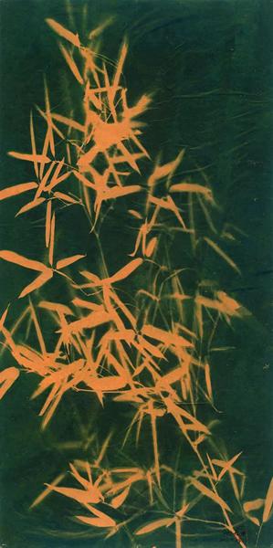 张大力《竹子》Bamboo宣纸蓝晒和墨水Cyanotype Photogram Mounted on Rice Paper and Ink 136×68cm 2013