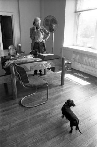 《安迪·沃霍尔与阿奇》(Warhol and Archie),1970s。图片:摄影 by Raeanne Rubenstein