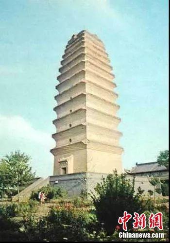 “大哥,你看远处那三个,说它们都600多岁了,厉害死了~”