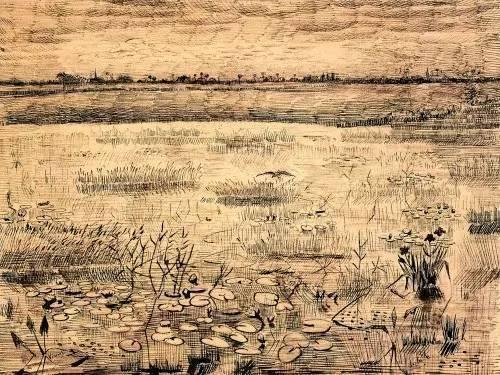 Marsh with Water Lillies， Etten， 1881